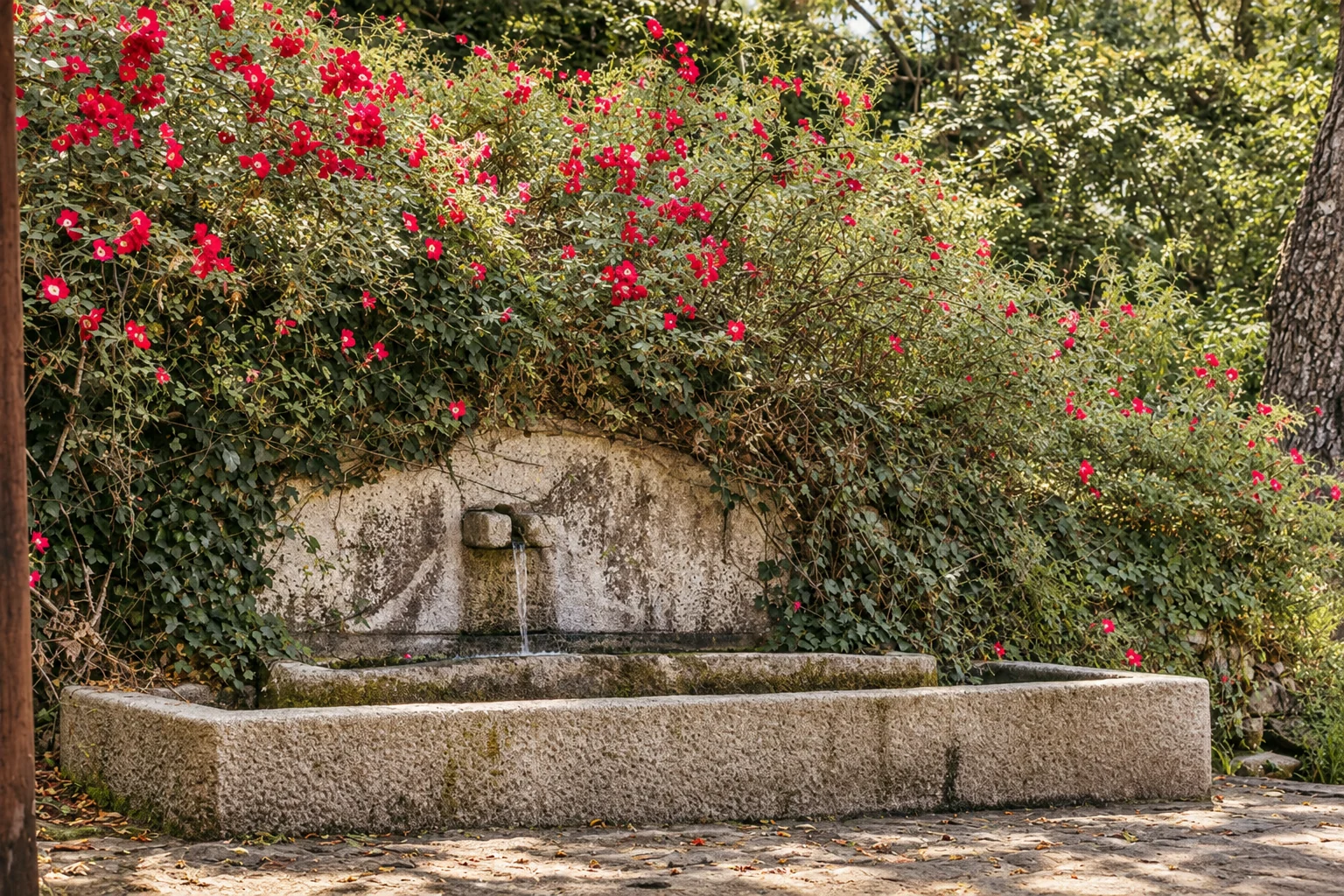 Villa El Arroyo and its lawn surrounded by holm oaks, on the El Escondite estate
