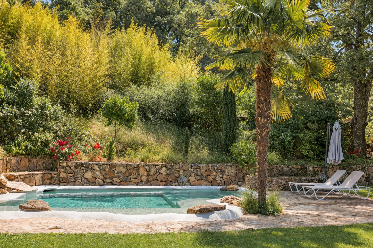 Beach-entry pool at Villa Los Castaños among palm trees