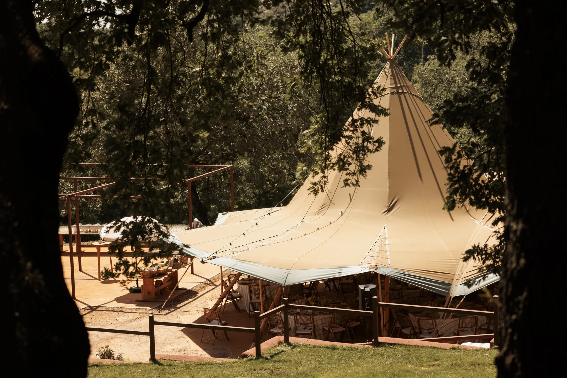 Wedding marquees set up among holm oaks during the day