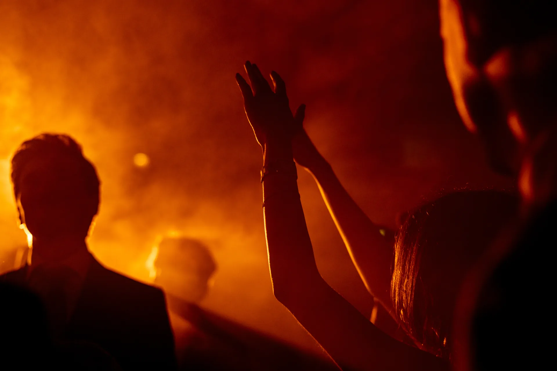 Silhouettes of guests dancing among warm lights