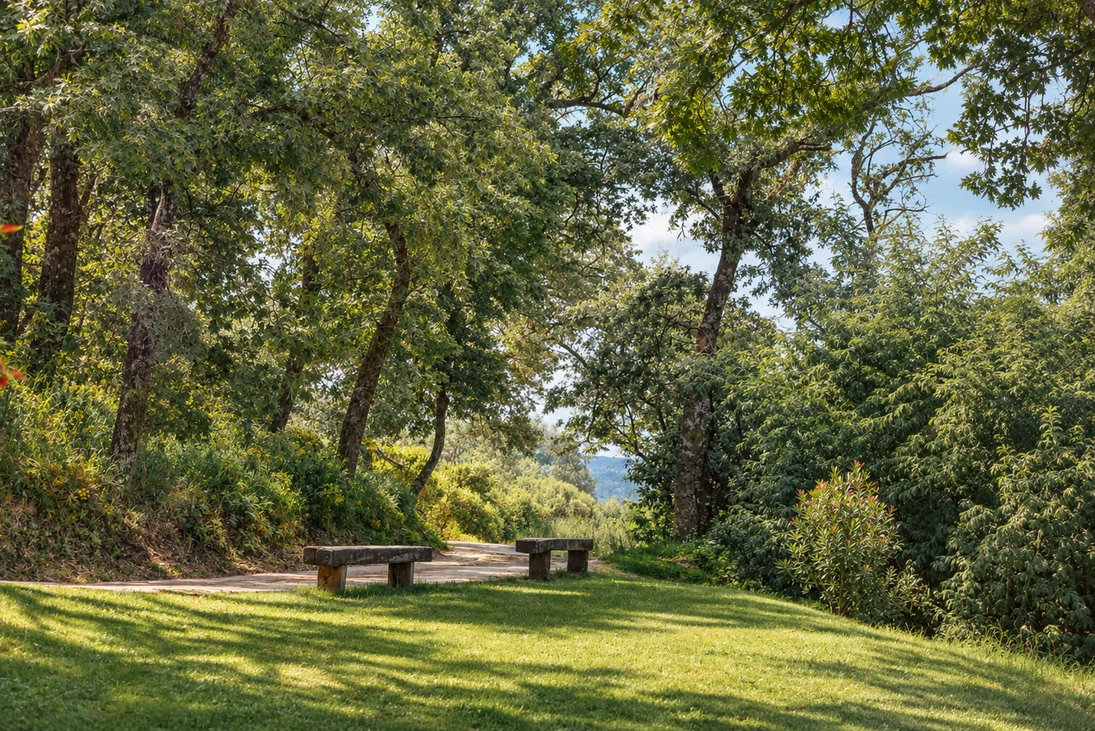 Hammock beneath the holm oaks at Villa El Arroyo