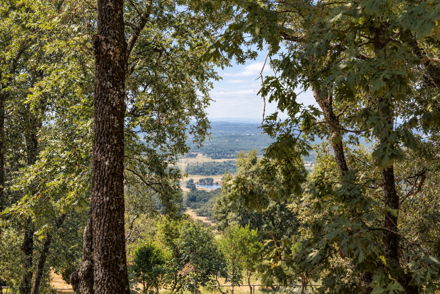 Landscape from Villa El Bosque among oaks