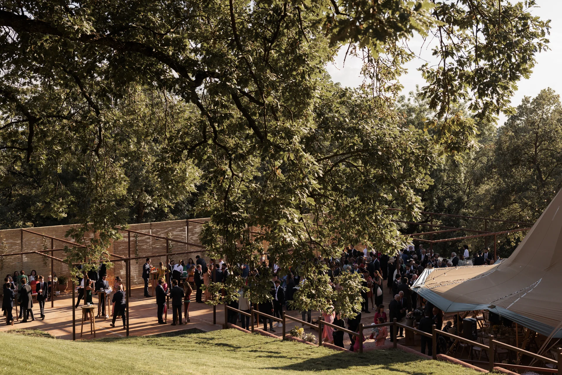 Outdoor ceremony with guests under the holm oaks