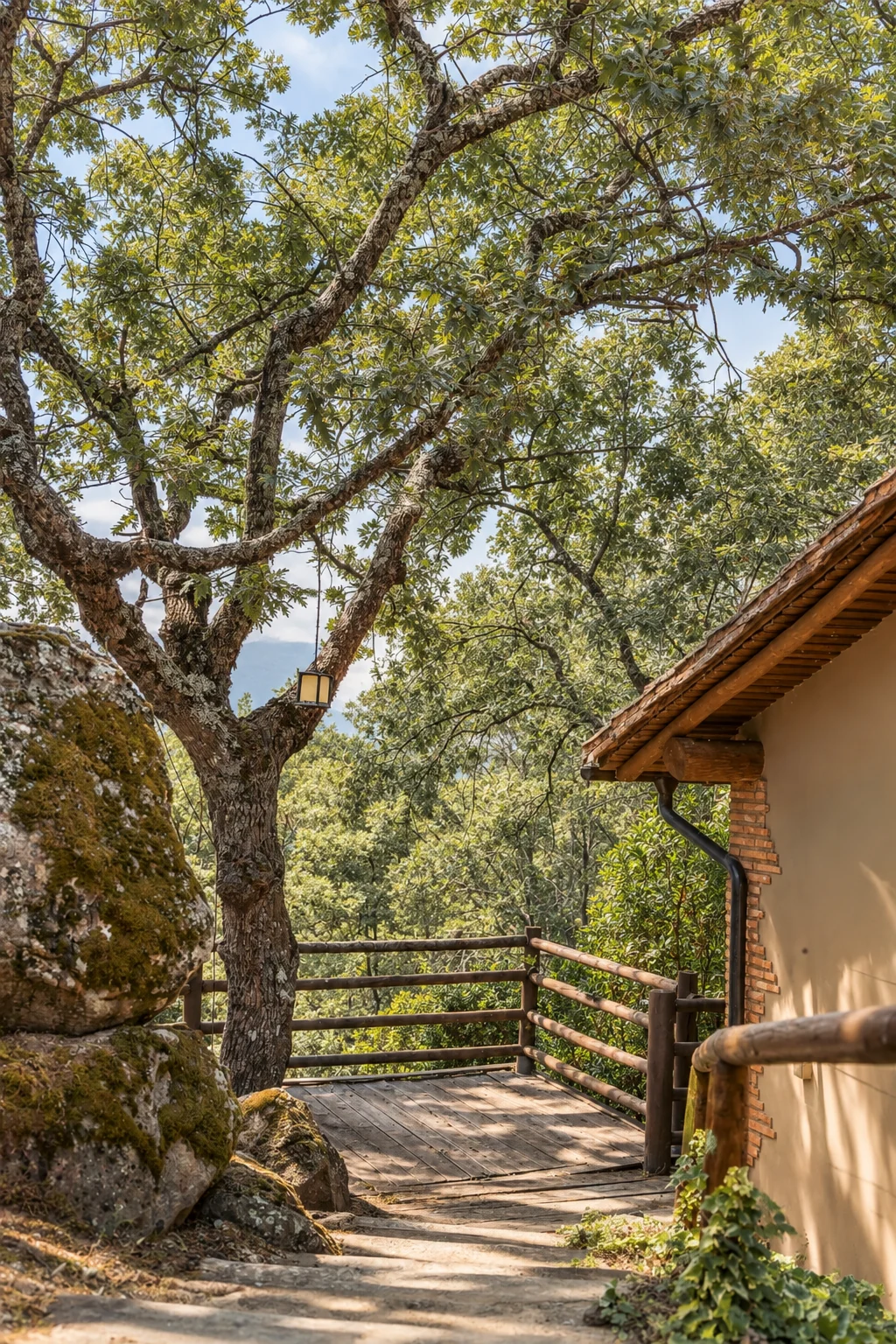 Access path to Villa Los Robles among the trees