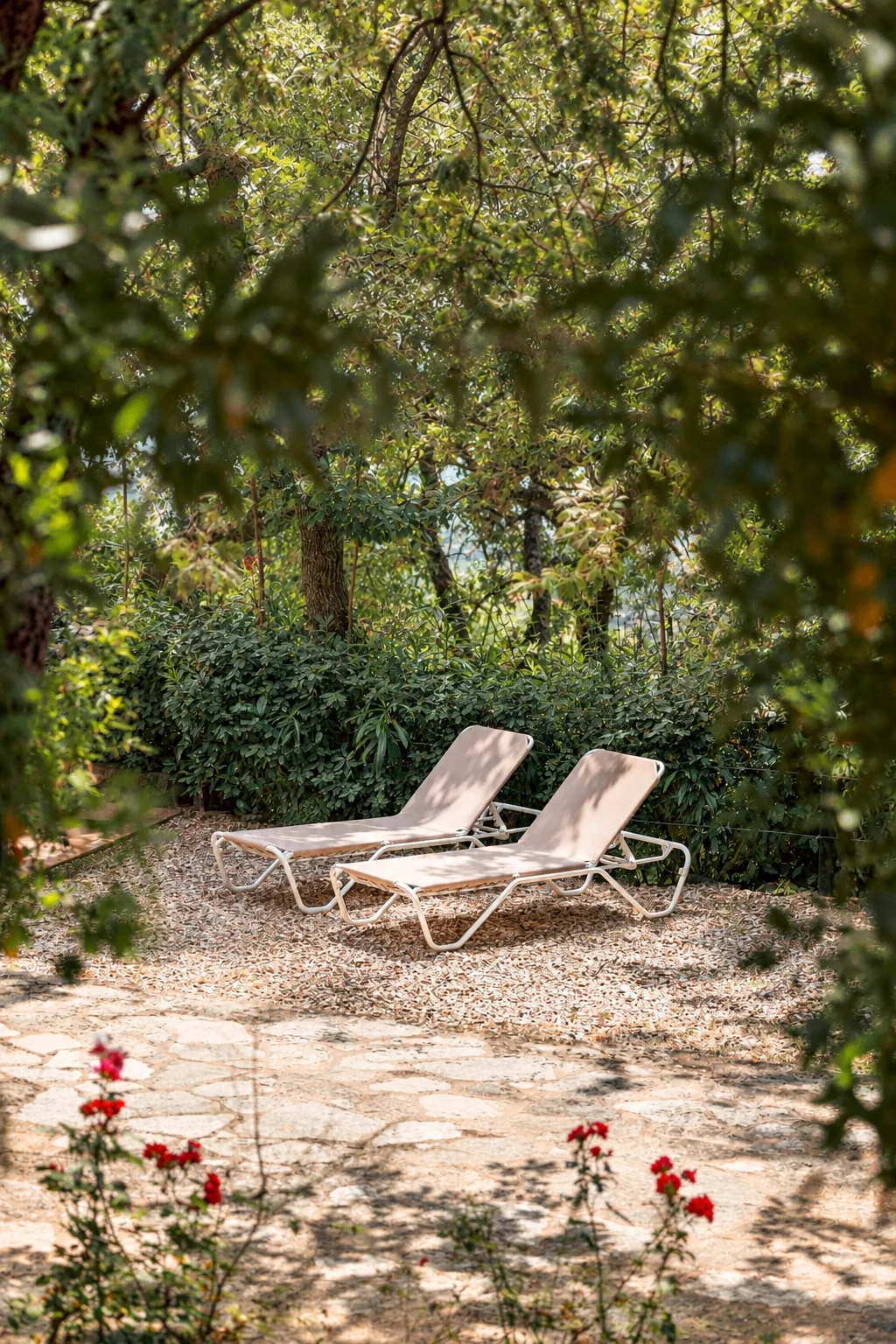 Private pool at Villa Los Rosales surrounded by greenery
