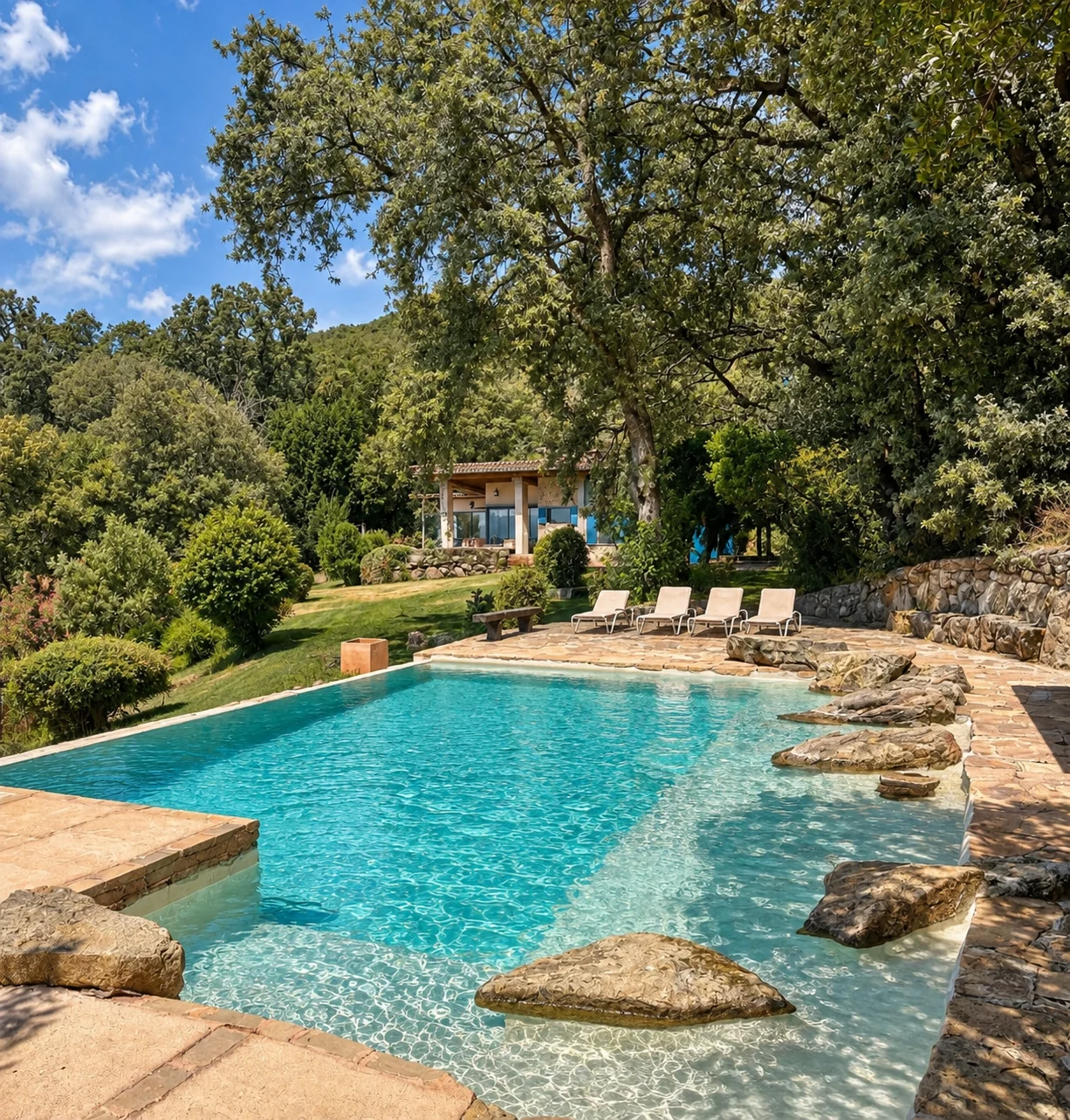 Pool at Villa El Arroyo surrounded by garden