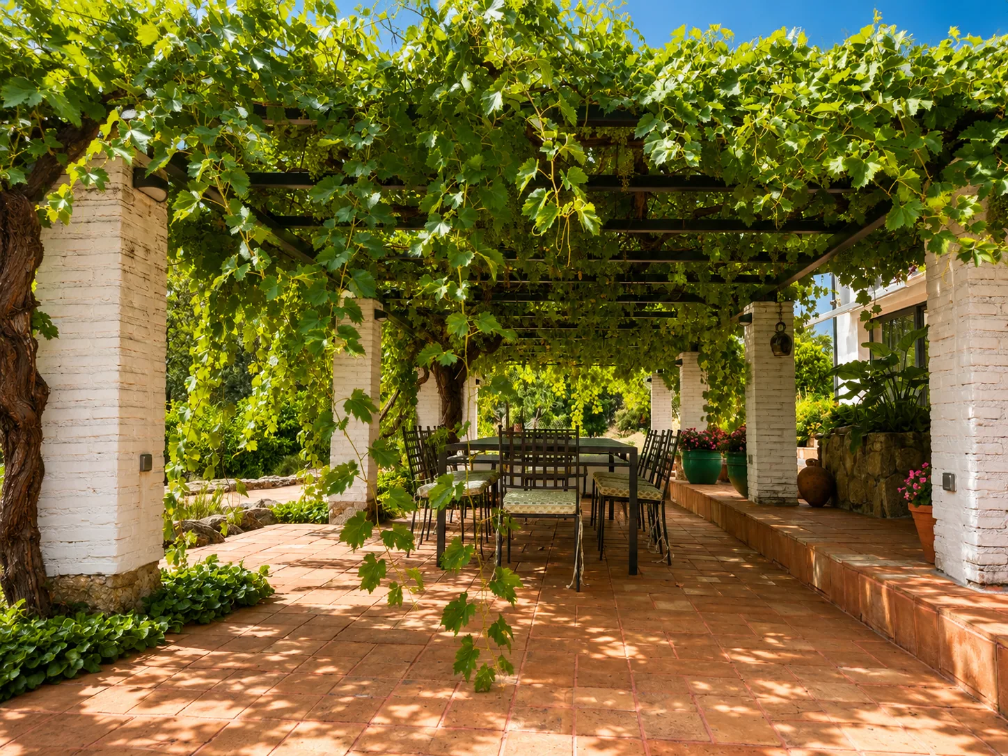 Vine pergola at Villa Alardos with the table for shaded meals
