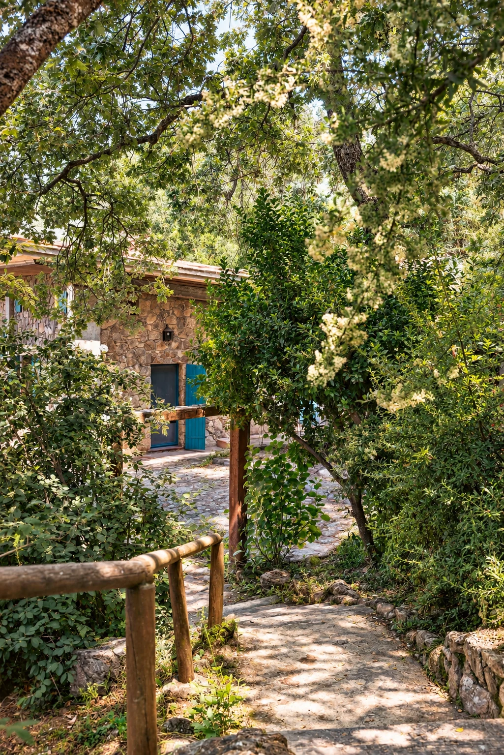 Wooded path at Villa El Arroyo