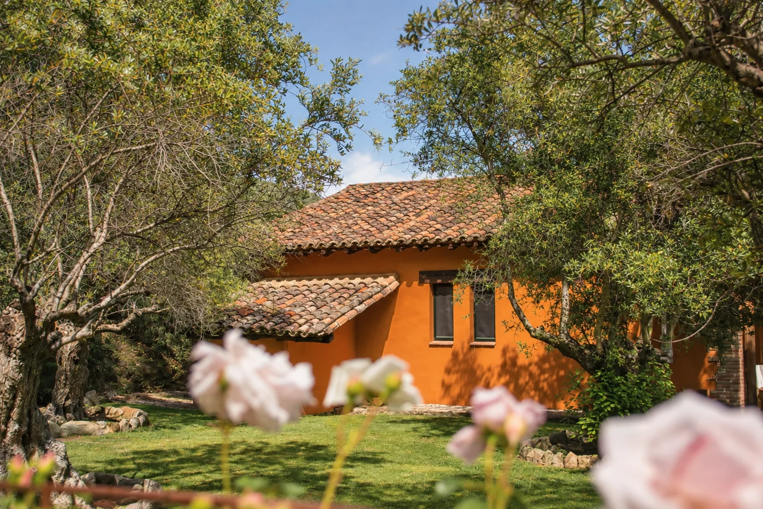 Villa Los Olivos seen from the garden