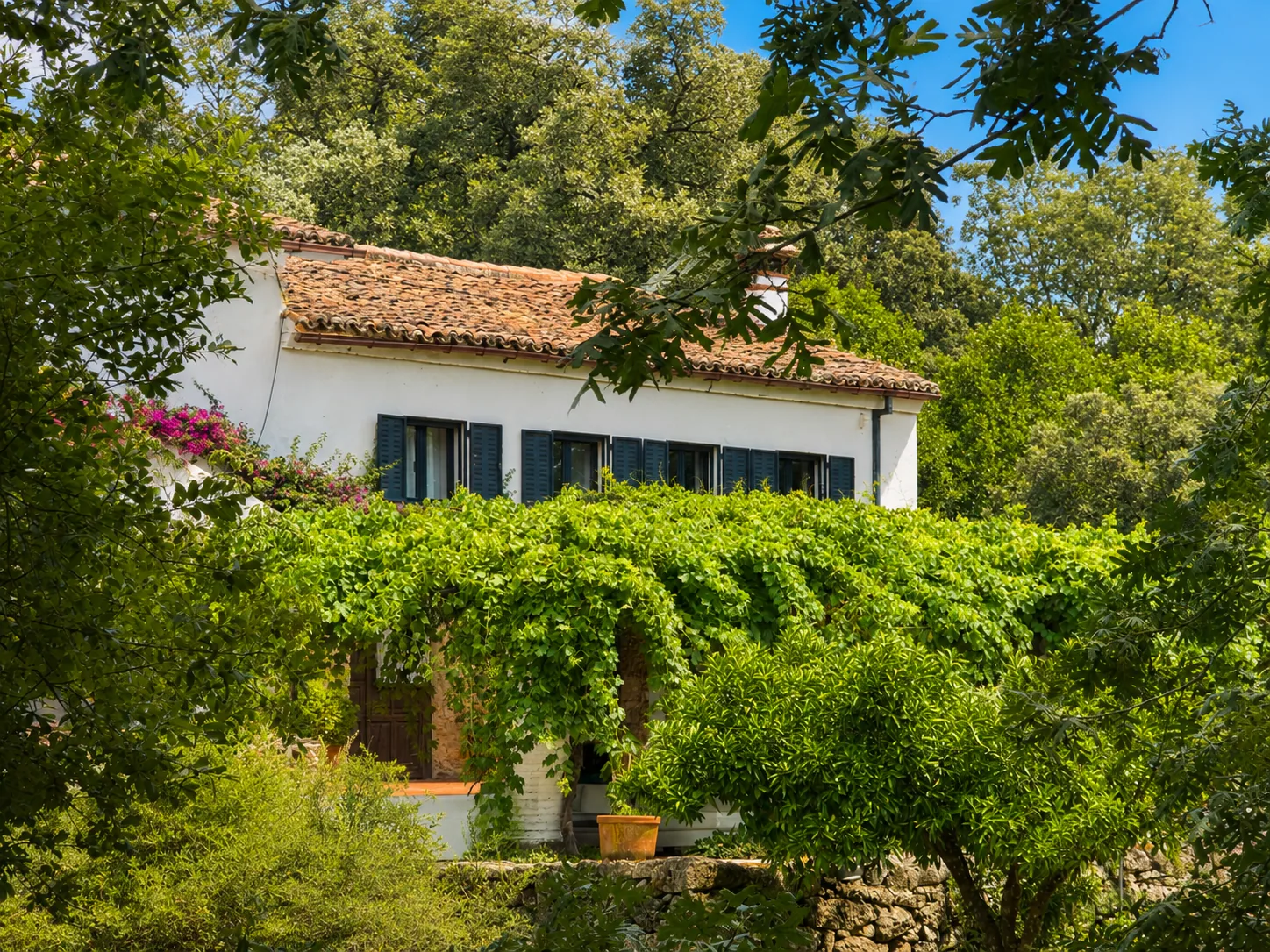 Villa Alardos with bougainvillea and garden greenery