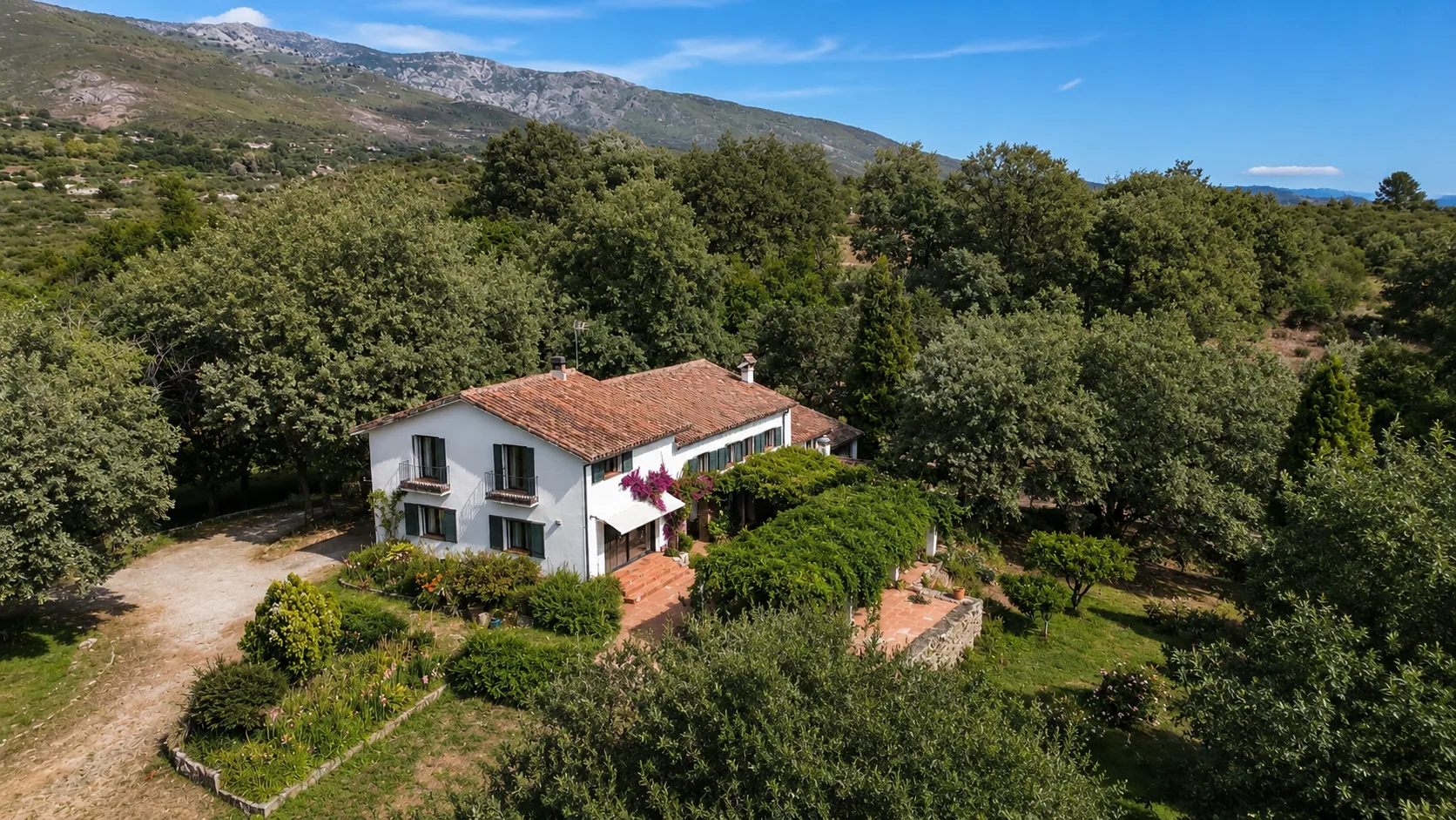 Aerial view of Villa Alardos and its driveway through the woodland