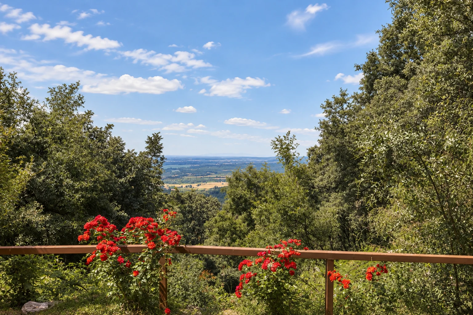 Landscape from Villa El Arroyo