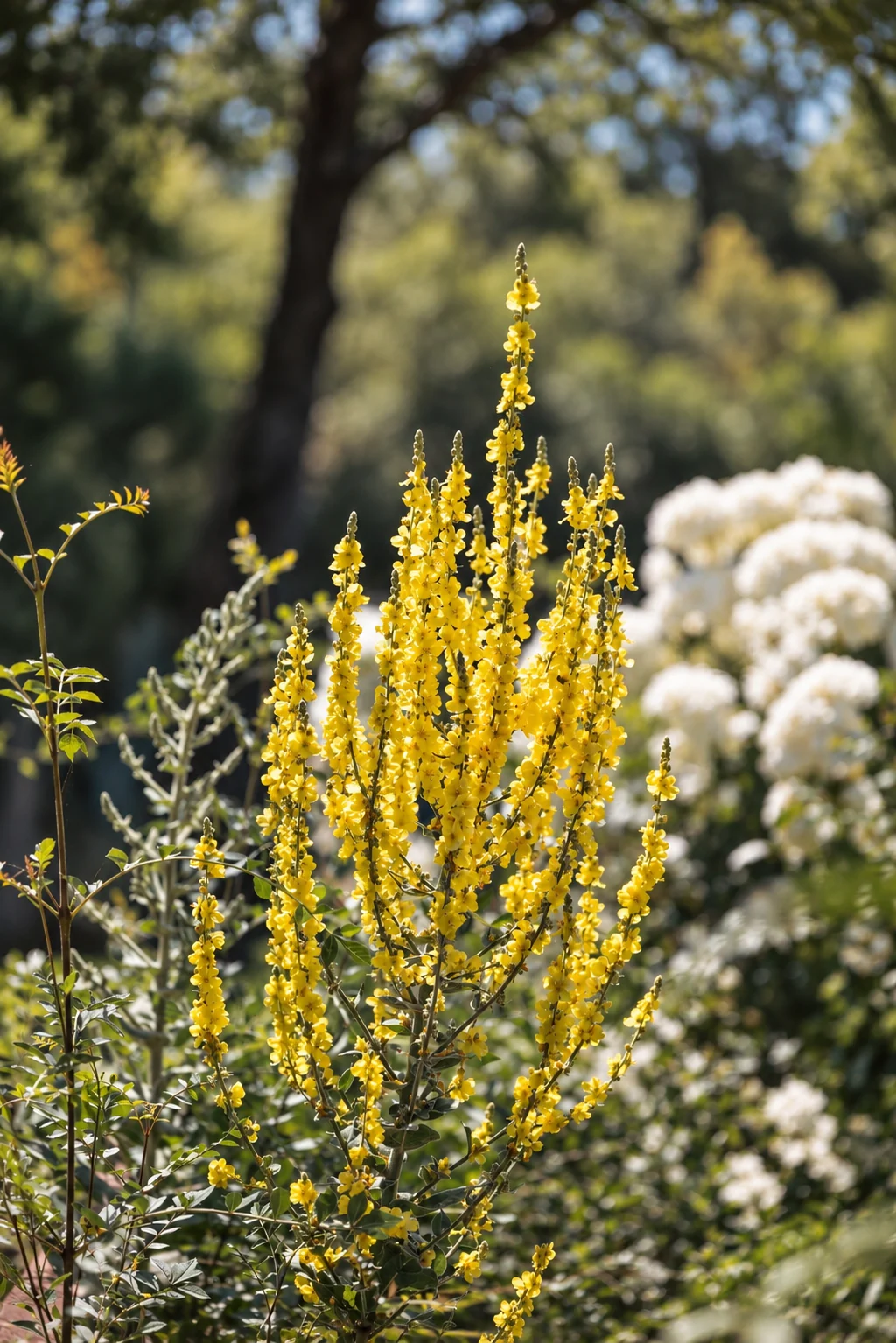 Floral detail in the garden at Villa El Arroyo