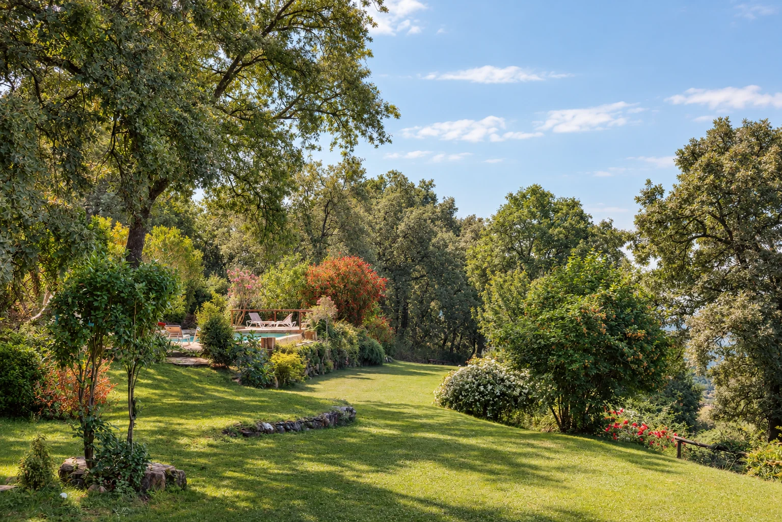 Lawn and woodland at Villa El Arroyo