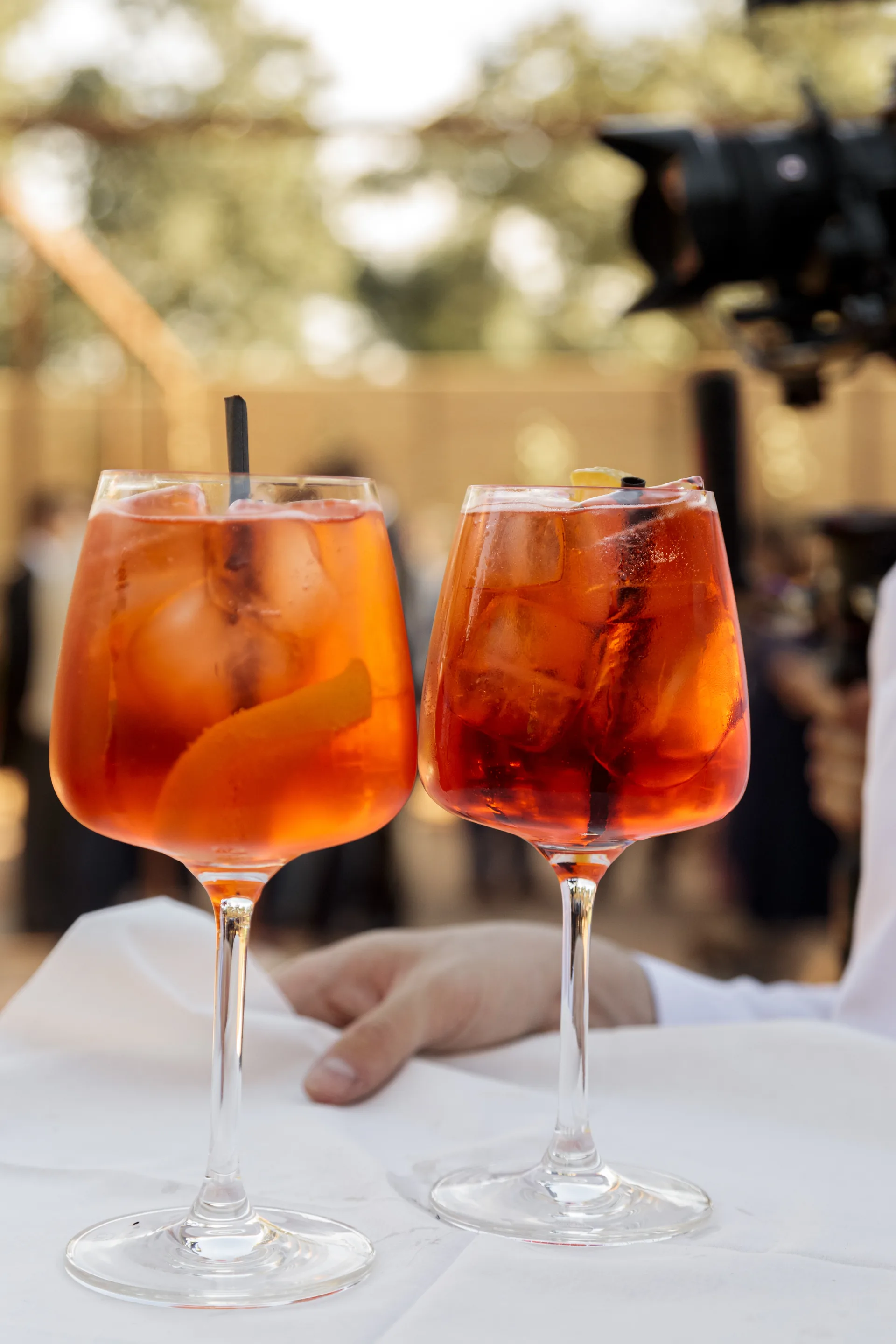 Aperitif drinks prepared for the guests