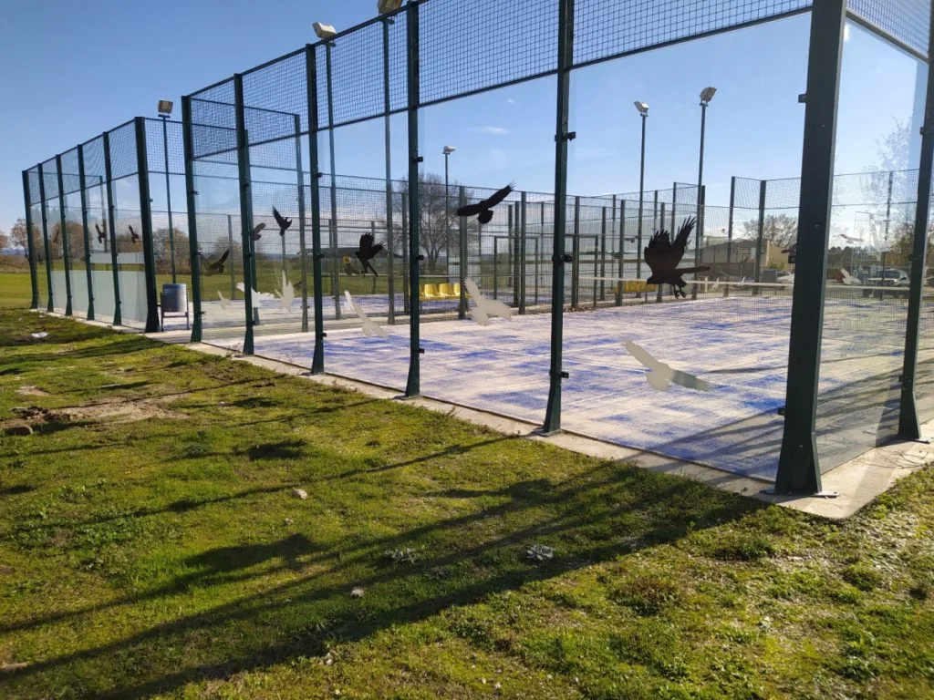 Padel courts in the Candeleda countryside