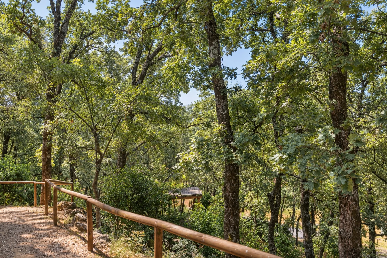 Path to Villa El Bosque through the woodland