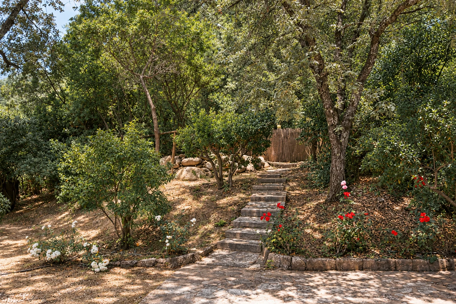 Landscaped path at Villa Los Rosales