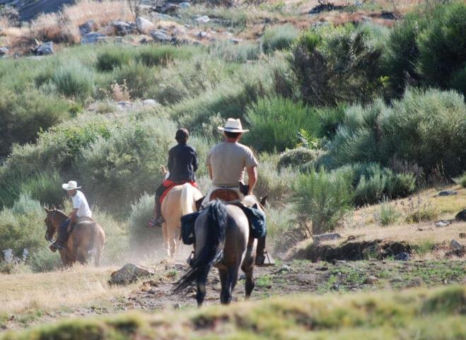 Horseback ride through the countryside near Candeleda