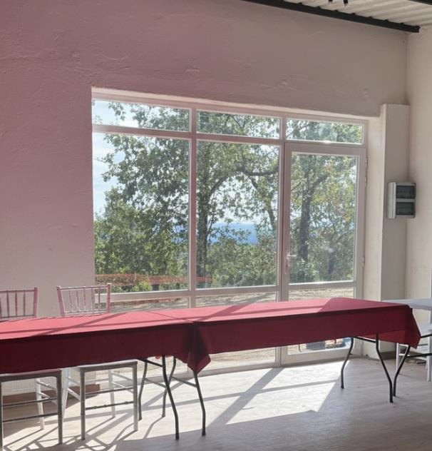 Meeting room with a large window looking onto the holm oak grove